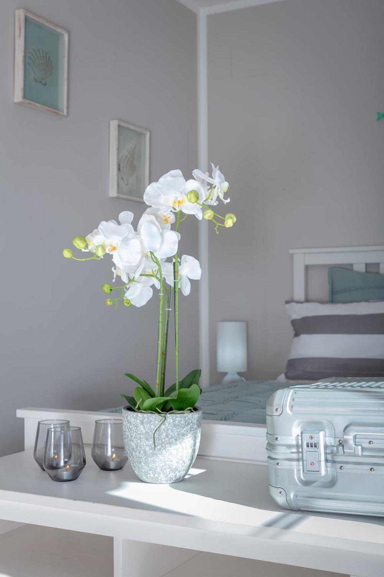 Villa Palmera PMI Dış mekan fotoğraf