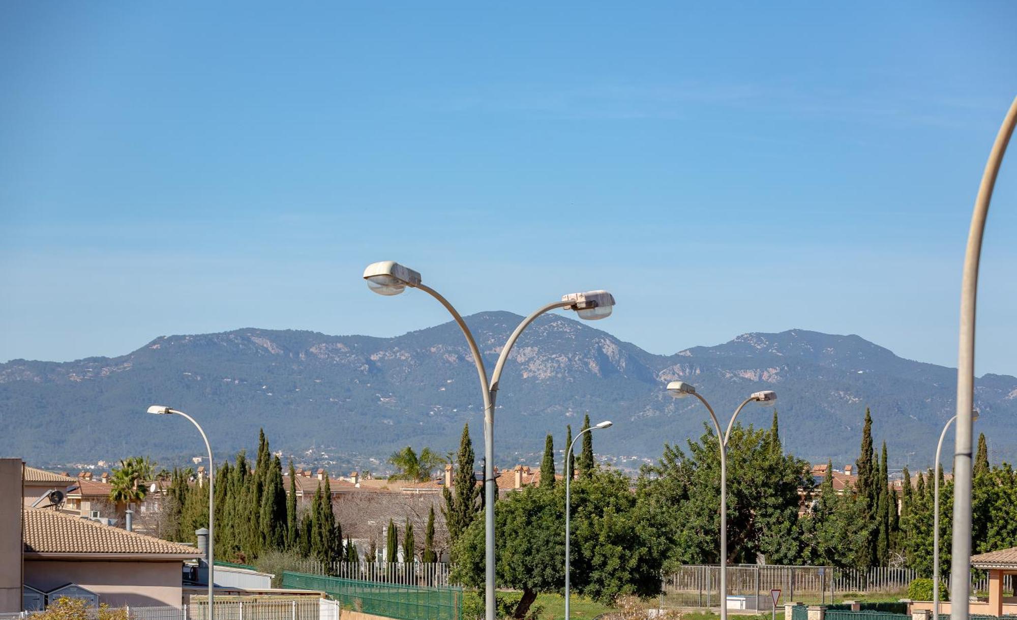 Villa Palmera PMI Dış mekan fotoğraf