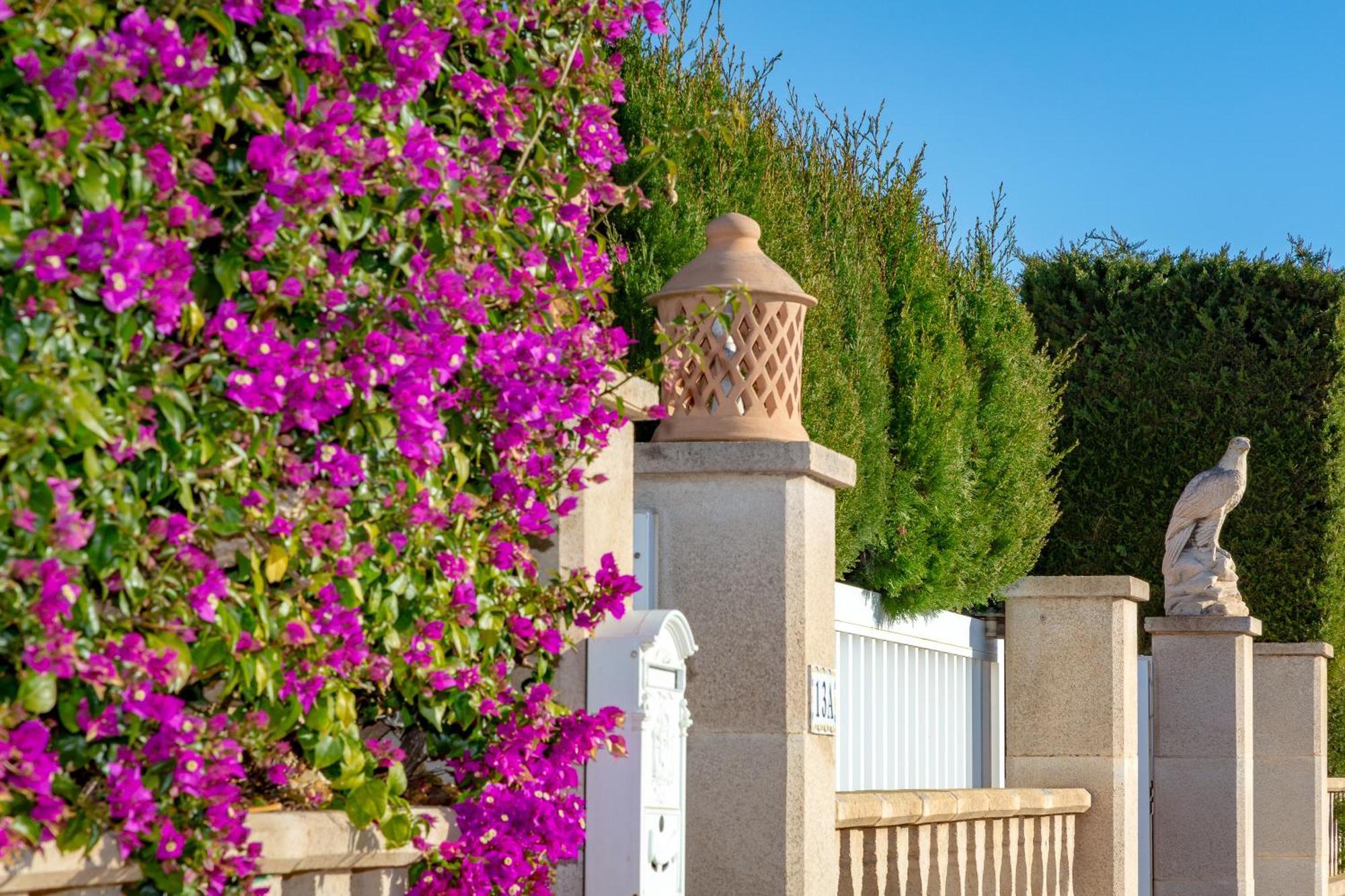 Villa Palmera PMI Dış mekan fotoğraf